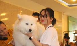 Hoa hậu Thái Lan dẫn thú cưng đến Việt Nam dự thi Hoa hậu chó 