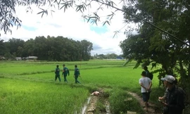 Phát hiện thi thể người phụ nữ lõa thể trên ruộng lúa