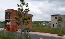 Vụ ‘xẻ’ hơn 7.000m2 đất công phân lô bán nền: Thu hồi đất, xử lý doanh nghiệp