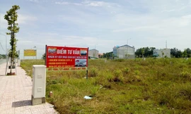 Cận cảnh hơn 7 nghìn m2 đất công bị ‘xẻ thịt’ phân lô bán nền ở Bình Dương