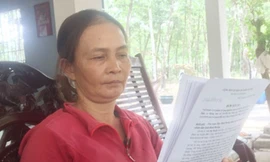 ĐBQH đề nghị làm rõ vụ đột nhập nhà con nợ lấy ô tô mà không bị khởi tố