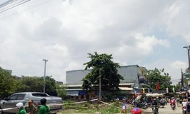 Thông tin mới nhất vụ phát hiện 3 thi thể ở Bình Dương