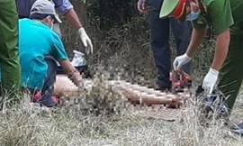 Phát hiện người đàn ông chết lõa thể trong vườn