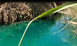 Mương nước xuất hiện màu xanh lạ, bốc mùi thuốc sâu ở Bình Dương