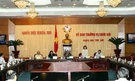 Thường vụ Quốc hội xem xét tư cách đại biểu Hoàng Yến