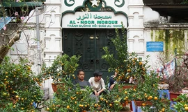 Đào, quất 'giá mềm' bán ngập chợ hoa tết Hàng Lược