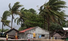 Nhiều môn thi đấu tại SEA Games 30 bị hoãn vì siêu bão Kammuri