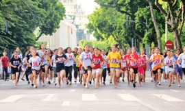 Nhiều tuyển thủ quốc gia dự giải chạy Báo Hà Nội Mới