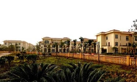 Đại gia xây 69 biệt thự tặng dân làng