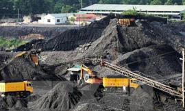 Kỷ luật nhiều tập thể, cán bộ Tổng cục Địa chất và ngành Than