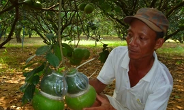 Quà Tết thời khốn khó