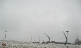 Khổ với bụi đá trắng