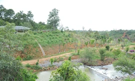 Xử phạt người đàn ông dọa ‘xin cánh tay’ phóng viên