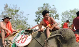Lễ hội đua voi độc đáo của người bản địa ở Tây Nguyên