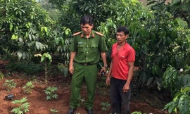 Hiện trường vụ công an phát hiện gia đình ông Năm trồng trái phép hàng trăm cây cần sa