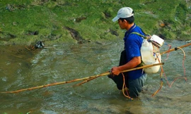 Đi đánh bắt cá, người đàn ông bị điện giật tử vong 