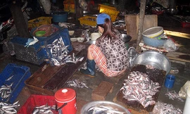 Biến cá thối thành chả thơm