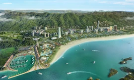 Tập đoàn CEO: Dấu chân tiên phong trên những vùng đất mới