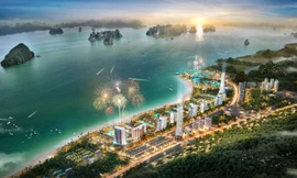 Sứ mệnh tiên phong đánh thức 'vùng đất Rồng' Vân Đồn của CEO Group