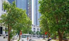 Người thành thị mơ một cuộc sống trung tâm những vẫn tràn ngập thiên nhiên.