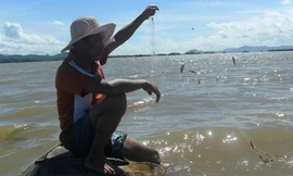 Mưu sinh nơi đỉnh lũ