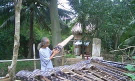 Quái kiệt cổ cầm, cổ nhạc