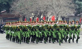 Sửa đổi, bổ sung 10 luật về quản lý hành chính liên quan đến hoạt động, chức năng, nhiệm vụ của lực lượng CAND