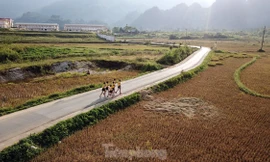 Chi tiết các cung đường chạy của Tiền Phong Marathon - Lai Châu 2023