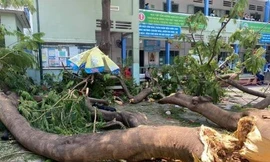 Liên tiếp những vụ tai nạn thương tâm: Cảnh báo an toàn trường học!