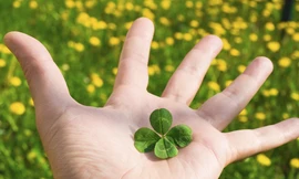 Điều ước đầu năm mới: “Dịch bệnh không còn, mọi người đều sẽ có cuộc sống tốt đẹp hơn!“