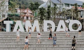 Tháng 7 này, lên lịch rủ hội cạ cứng đi tránh nóng ở Tam Đảo chỉ với 900 ngàn đồng!