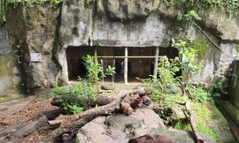 Thảo Cầm Viên Sài Gòn lên tiếng phản bác sau khi bị “tố” ngược đãi động vật 