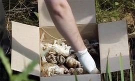 Hàng trăm hài nhi trong thùng rác