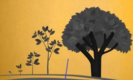 Tư duy dài hạn bắt đầu từ tư duy ngắn hạn