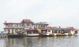 Dự án xây cầu cảng Hồ Tây mới ở giai đoạn 'lấy ý kiến'