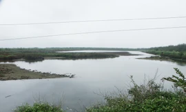 Đầm nước của gia đình ông Vươn đã bị ai đó tháo nước để vơ vét thủy sản