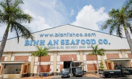 Nợ của Cty Bình An tăng lên 1.560 tỷ đồng