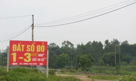 Đất Ba Vì: Mua một, tặng một