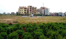 Chính phủ thừa nhận khung giá đất đã lạc hậu