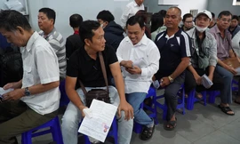 TPHCM tạm dừng cấp đổi, cấp lại giấy phép lái xe từ 19/2 