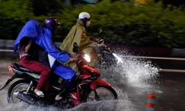 Bão số 1 ảnh hưởng gián tiếp, Nam bộ mưa dông diện rộng