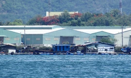 Chủ tịch thành phố biết từ lâu và đang rà soát