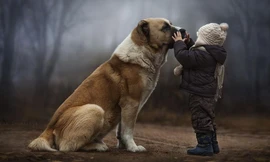 Tuổi thơ hồn nhiên giữa không gian đẹp mê hoặc