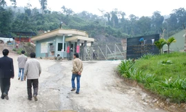 Nhà máy vàng Phước Sơn đóng cửa tạm thời vì bị phong tỏa. 