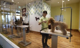 Một trung tâm chăm sóc chó của Aeonpet