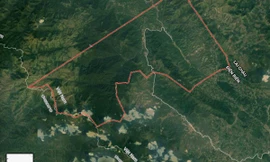 Tâm chấn động đất ở xã Chung Chải, huyện Mường Nhé và nằm trên vết đứt gãy Điện Biên.