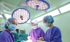 Ảnh minh hoạ: Internet