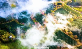 10 chốn ‘bồng lai tiên cảnh’ khi tới Sa Pa vào lễ 30/4 ​