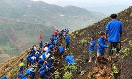 Tuổi trẻ Yên Bái đẩy mạnh đẩy mạnh khai hoang ruộng bậc thang, phát triển Danh thắng Ruộng bậc thang Mù Cang Chải ở Mù Cang Chải.
