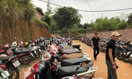 Những bãi xe tự phát, chặt chém ở Đền Hùng sẽ được chấn chỉnh, xử lý.